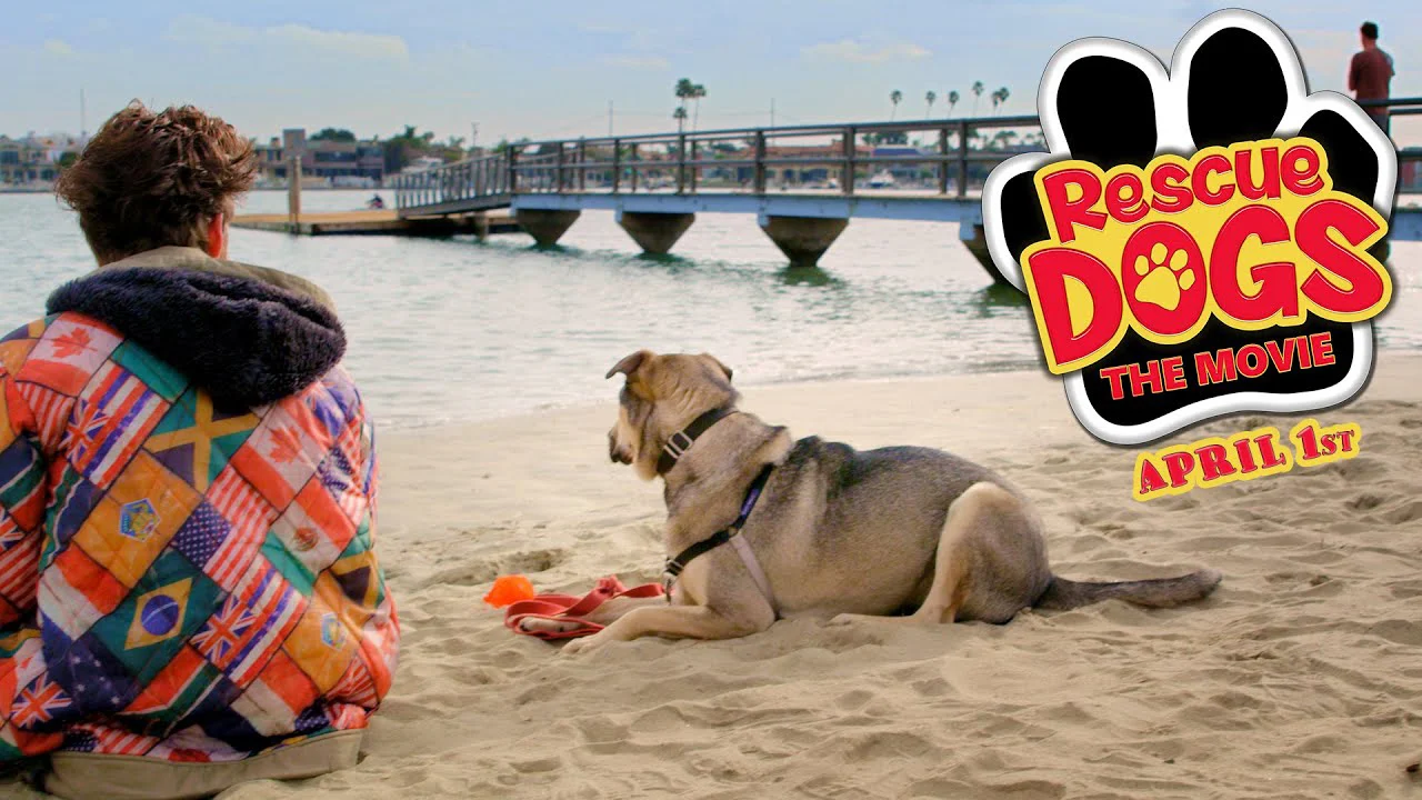 Phim Chú Chó Cứu Hộ