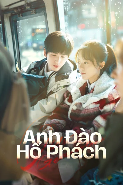 Phim Anh Đào Hổ Phách