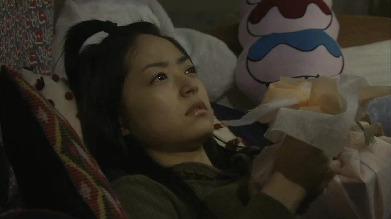 Vườn Sao Băng: Hồi Kết